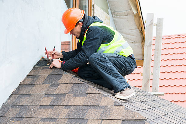 Best Sealant for Roof  in Longbranch, WA