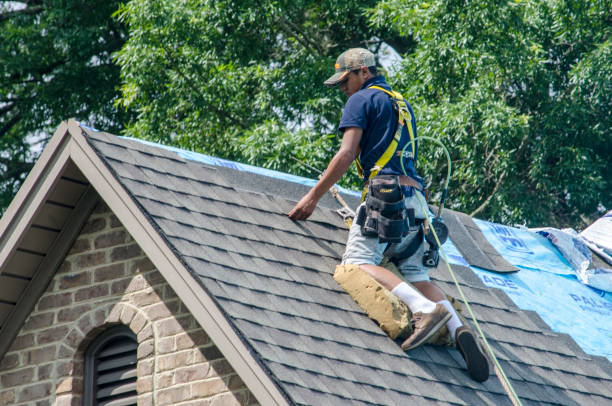 Best Gutter Installation and Roofing  in Longbranch, WA